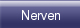 Nerven